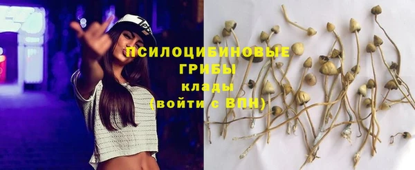 марки nbome Алзамай
