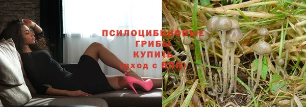 ПСИЛОЦИБИНОВЫЕ ГРИБЫ Алексеевка