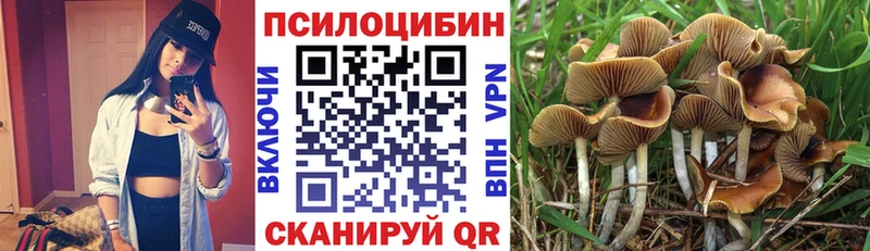 купить  цена  Миньяр  Галлюциногенные грибы мицелий 